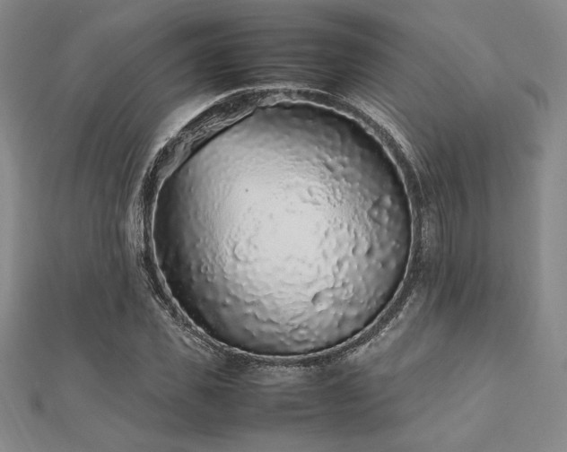 X0000112510925200908171330