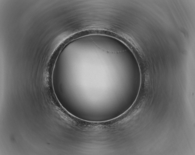 X0000112510926200908171330