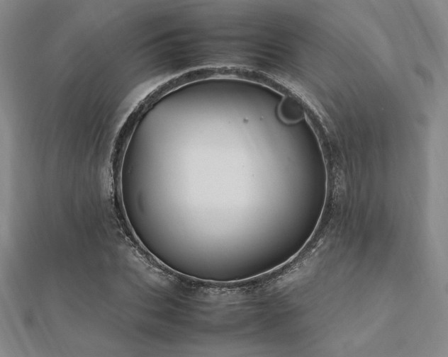 X0000112510927200908171330