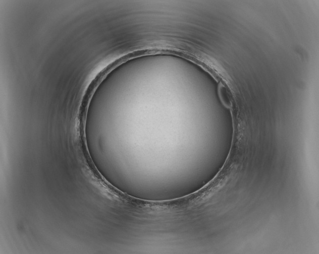 X0000112510928200908171330