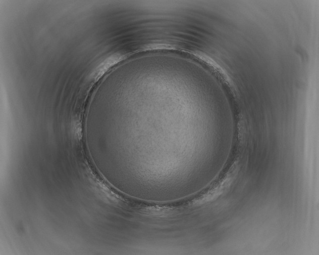 X0000112510929200908171330