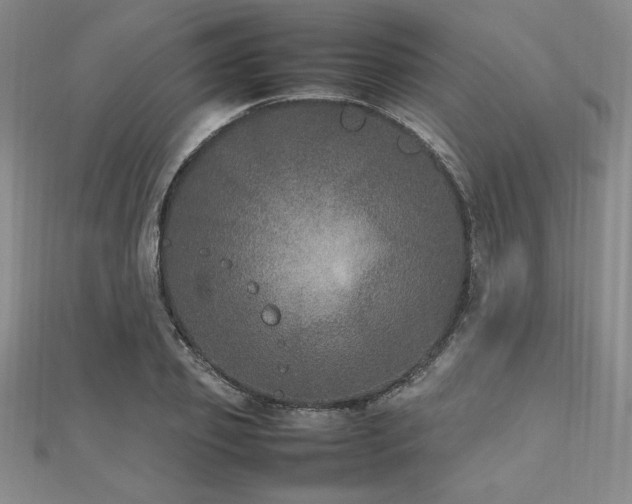 X0000112510933200908171331