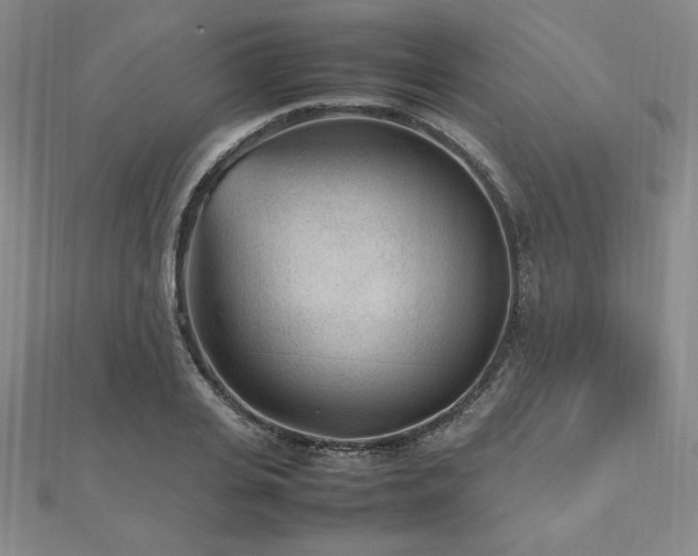 X0000112510935200908171331