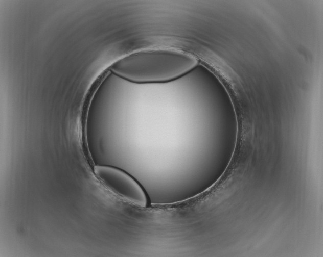 X0000112510936200908171331