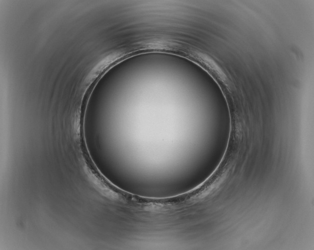 X0000112510938200908171331
