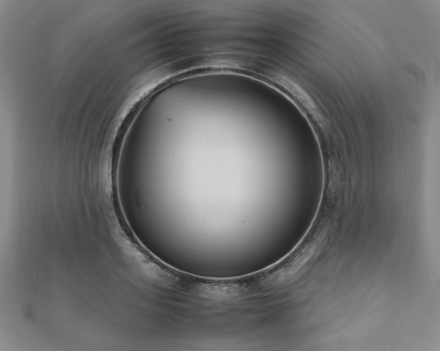 X0000112510939200908171331