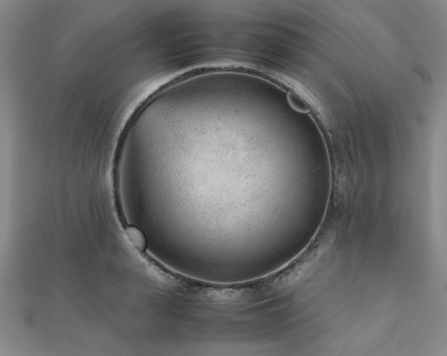 X0000112510943200908171331