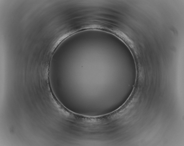 X0000112510945200908171331