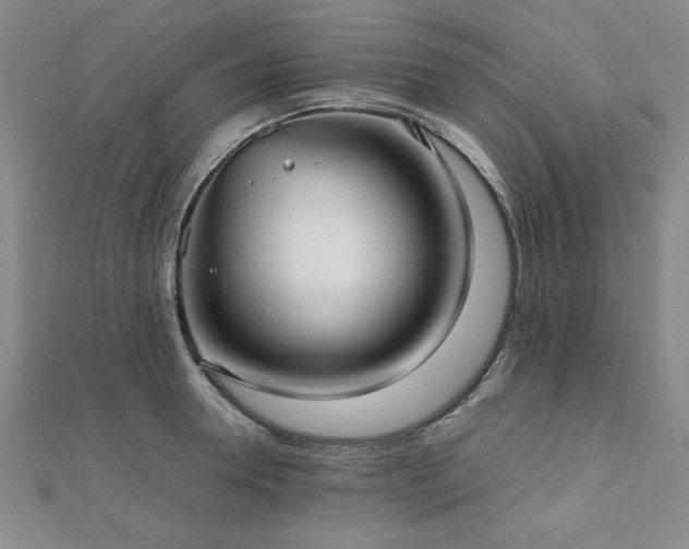 X0000112510946200908171331
