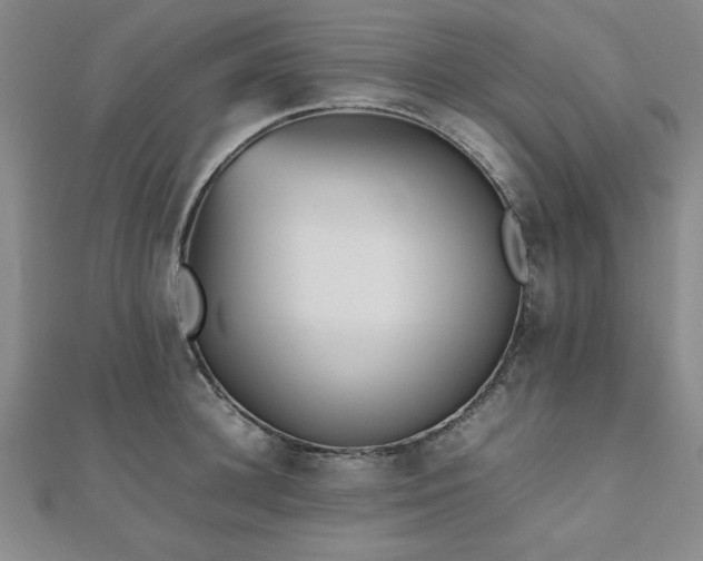X0000112510948200908171331