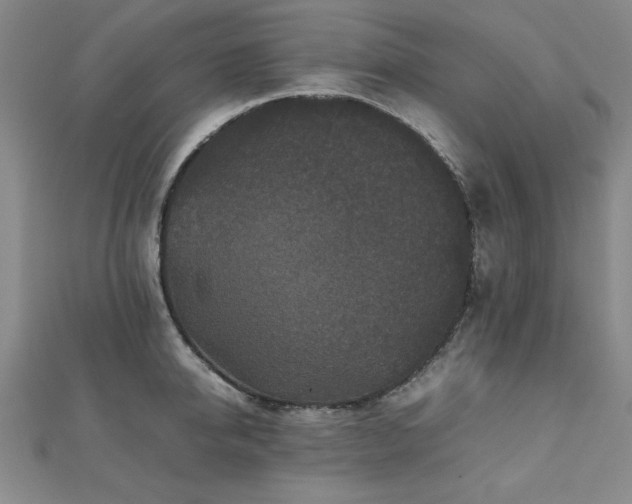 X0000112510950200908171331