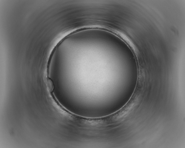 X0000112510951200908171331