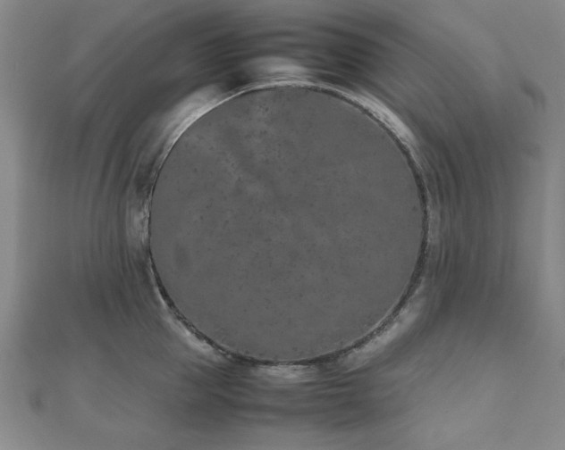 X0000112510953200908171331