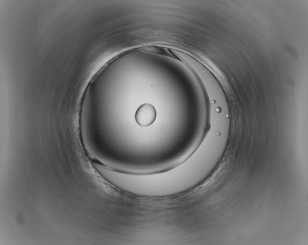X0000112510956200908171331