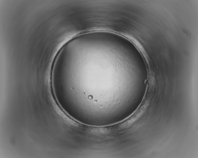 X0000112510957200908171331