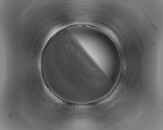 X0000112510958200908171331