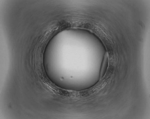 X0000112510961200908171330