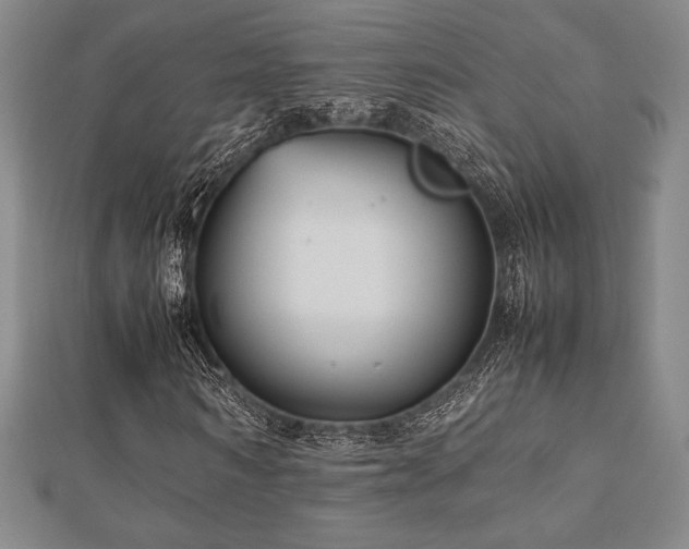 X0000112510962200908171330