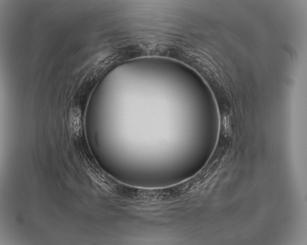 X0000112510963200908171330