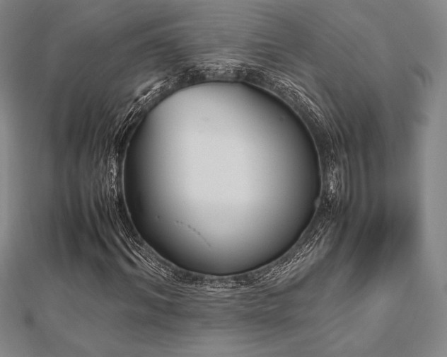 X0000112510964200908171330