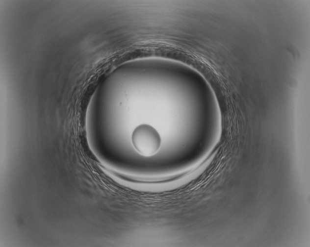 X0000112510965200908171330