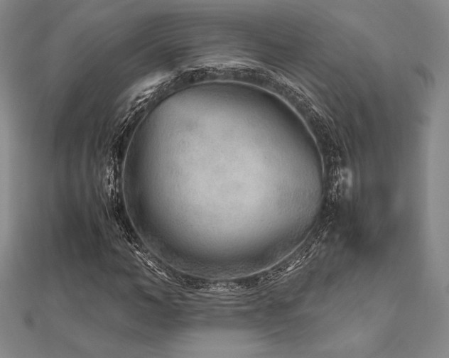 X0000112510966200908171330