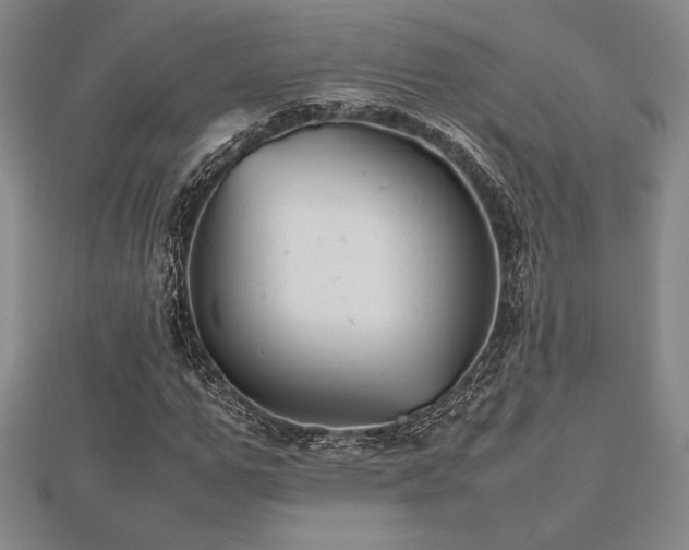 X0000112510967200908171330