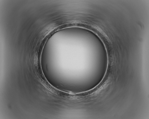 X0000112510969200908171330
