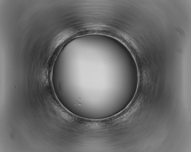 X0000112510970200908171330