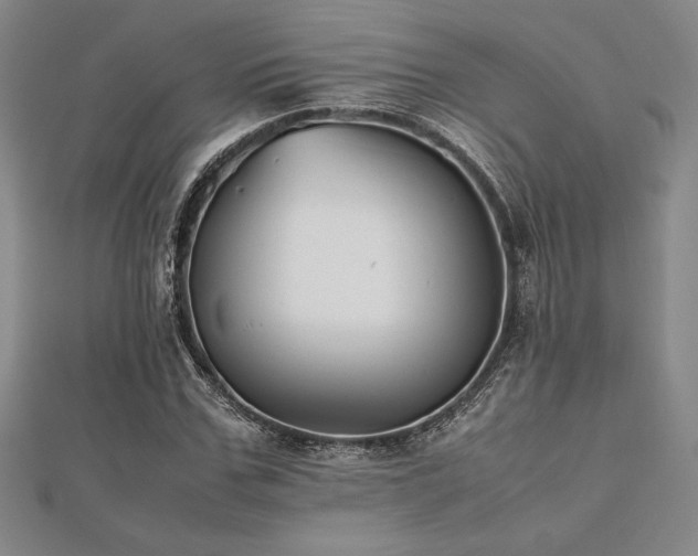 X0000112510971200908171330