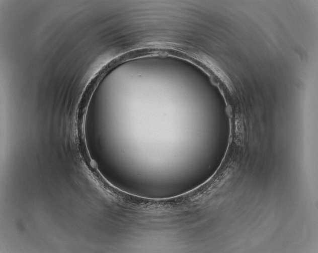 X0000112510972200908171330