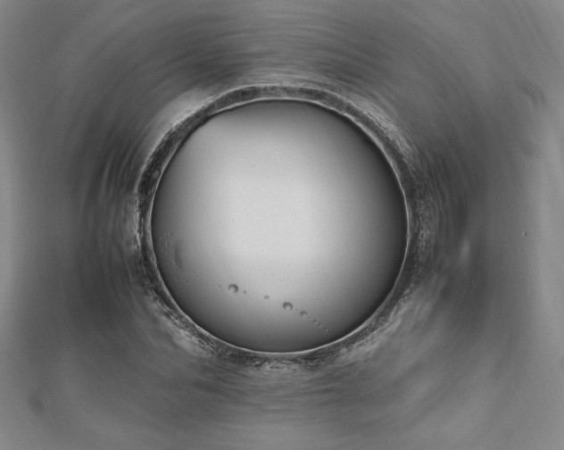 X0000112510974200908171330