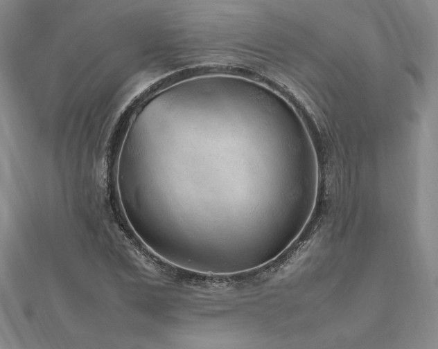 X0000112510975200908171330