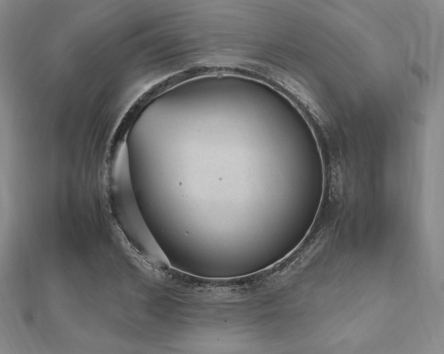 X0000112510976200908171330