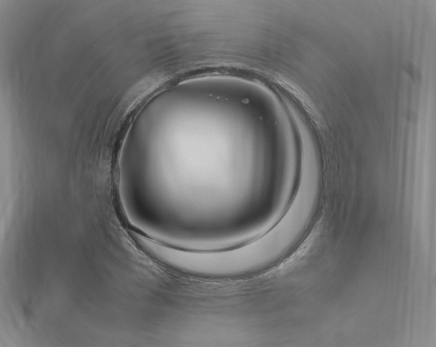 X0000112510977200908171330