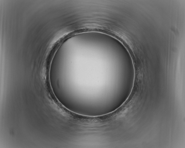 X0000112510979200908171330