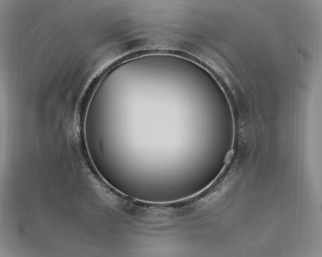 X0000112510981200908171330
