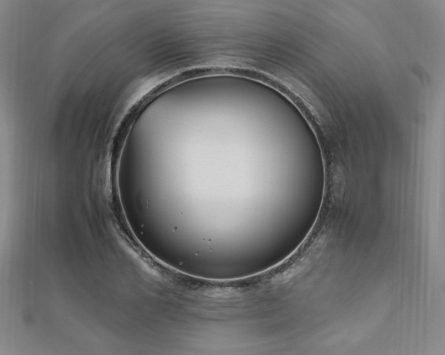 X0000112510982200908171330