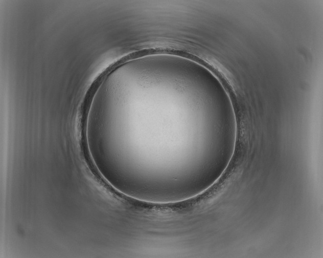 X0000112510983200908171330