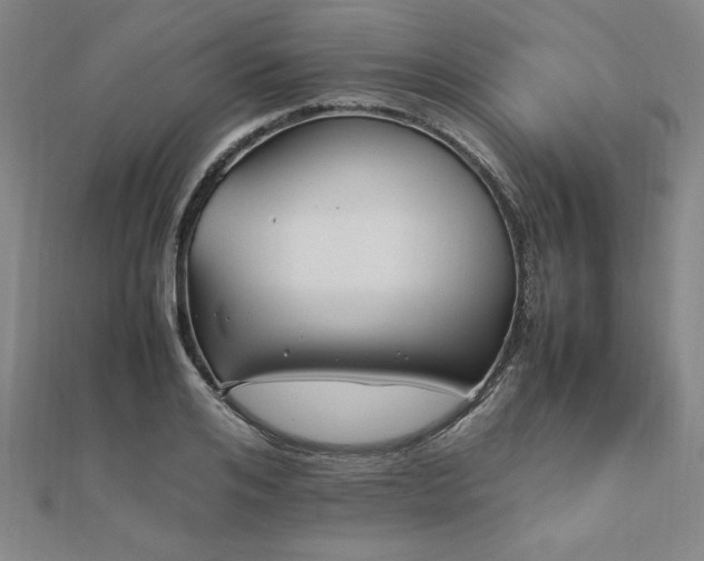 X0000112510984200908171330