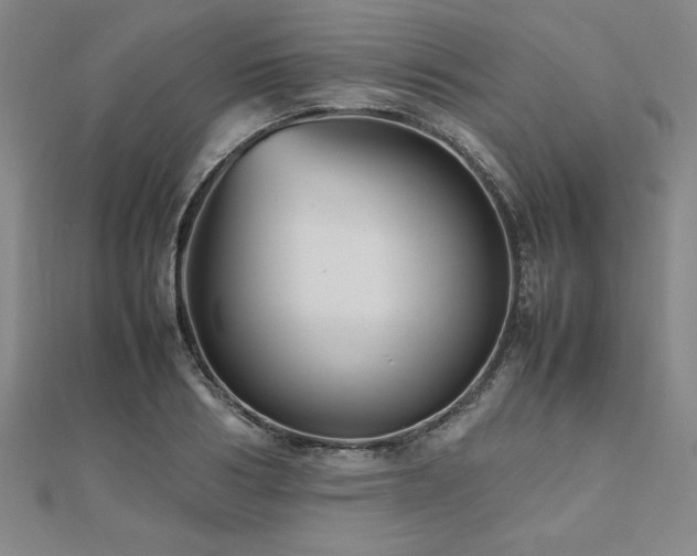 X0000112510986200908171330
