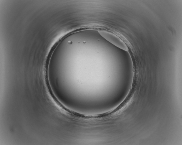 X0000112510989200908171330