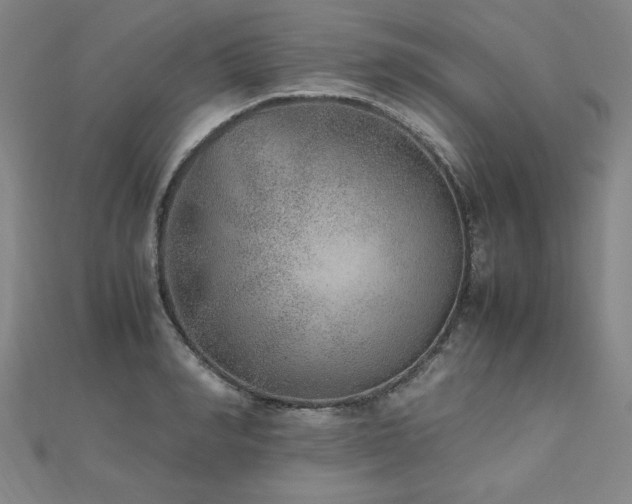 X0000112510990200908171330