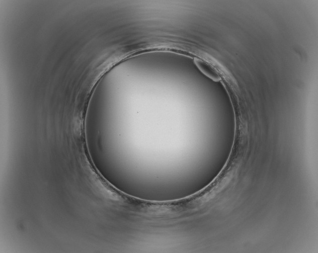 X0000112510993200908171330