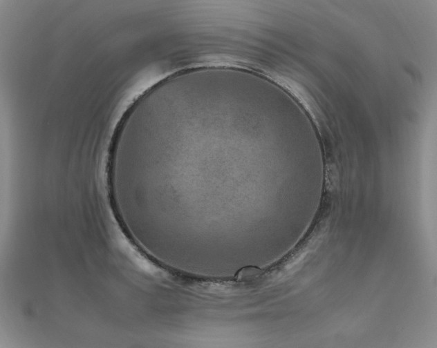 X0000112510995200908171330