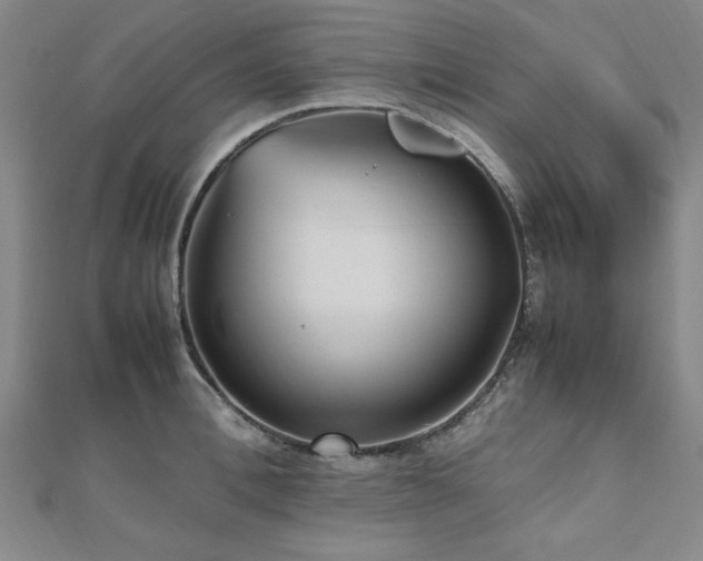 X0000112510996200908171330