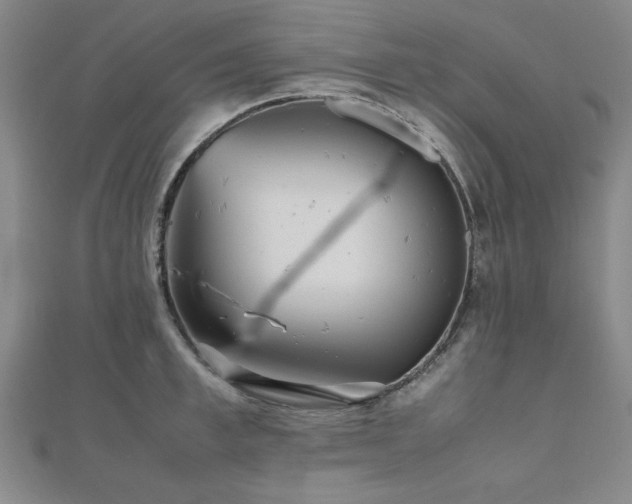 X0000112510997200908171330