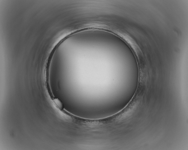 X0000112510999200908171330
