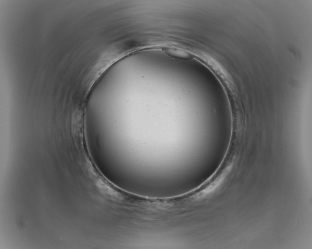 X0000112511001200908171330