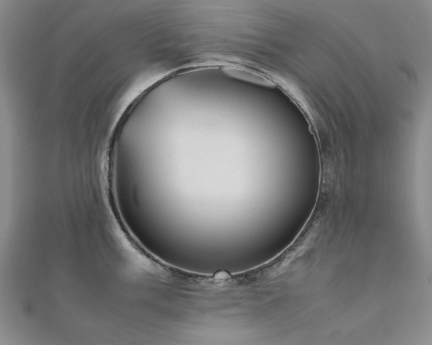 X0000112511003200908171330